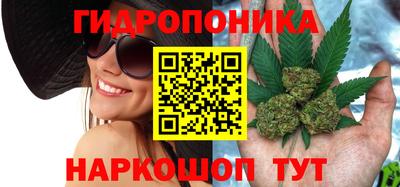 СК Бузулук