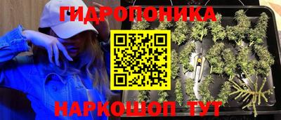 СК Бузулук