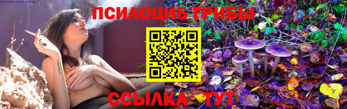 Галлюциногенные грибы Psilocybine cubensis Чусовой